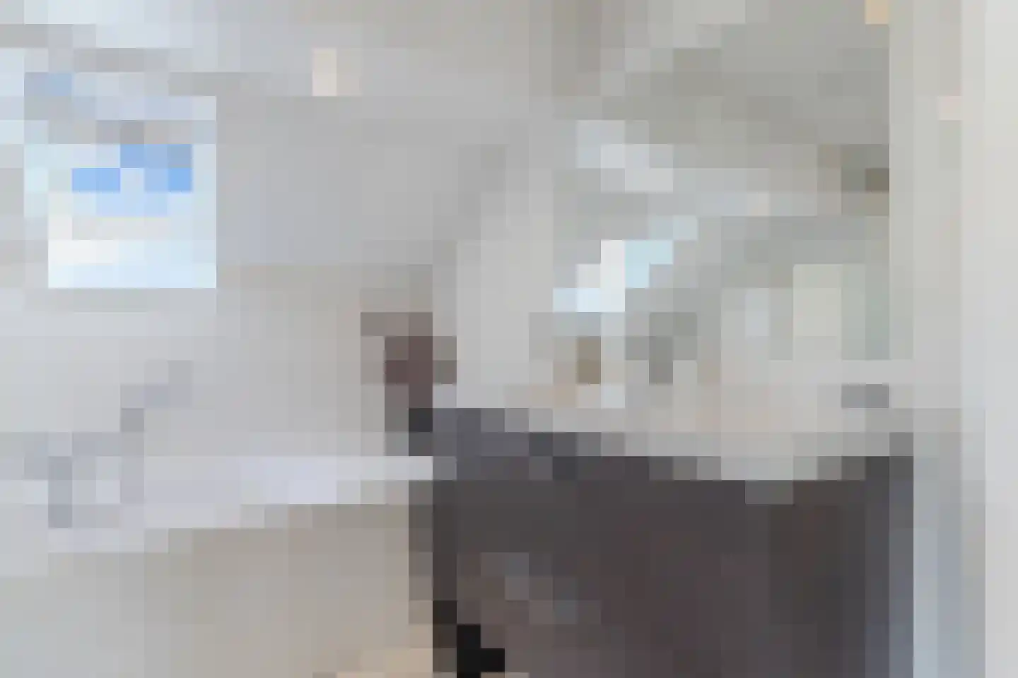 Jancko Douwamastrjitte 35 a Aldeboarn thumbnail 36