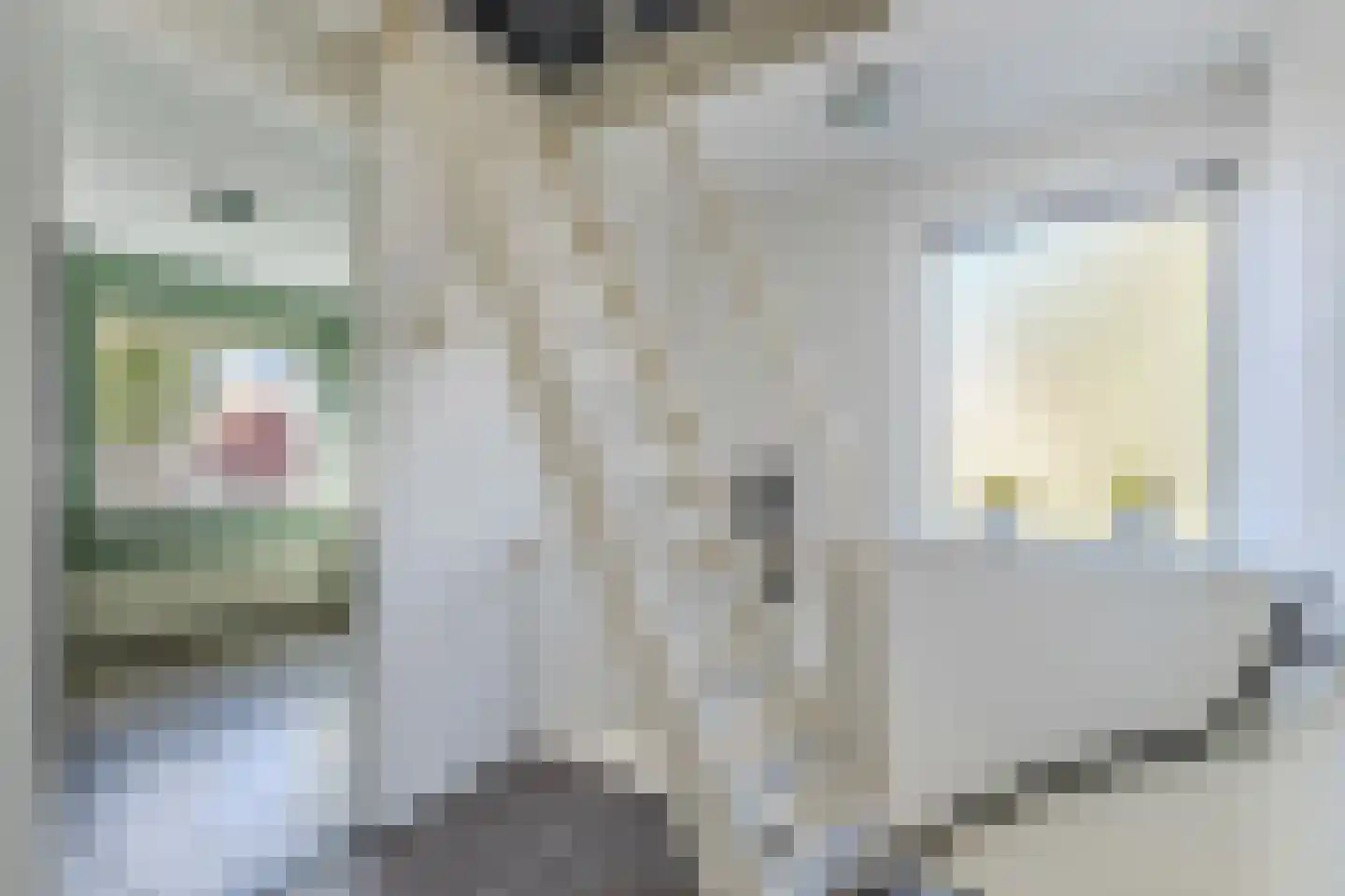 Jancko Douwamastrjitte 35 a Aldeboarn thumbnail 38