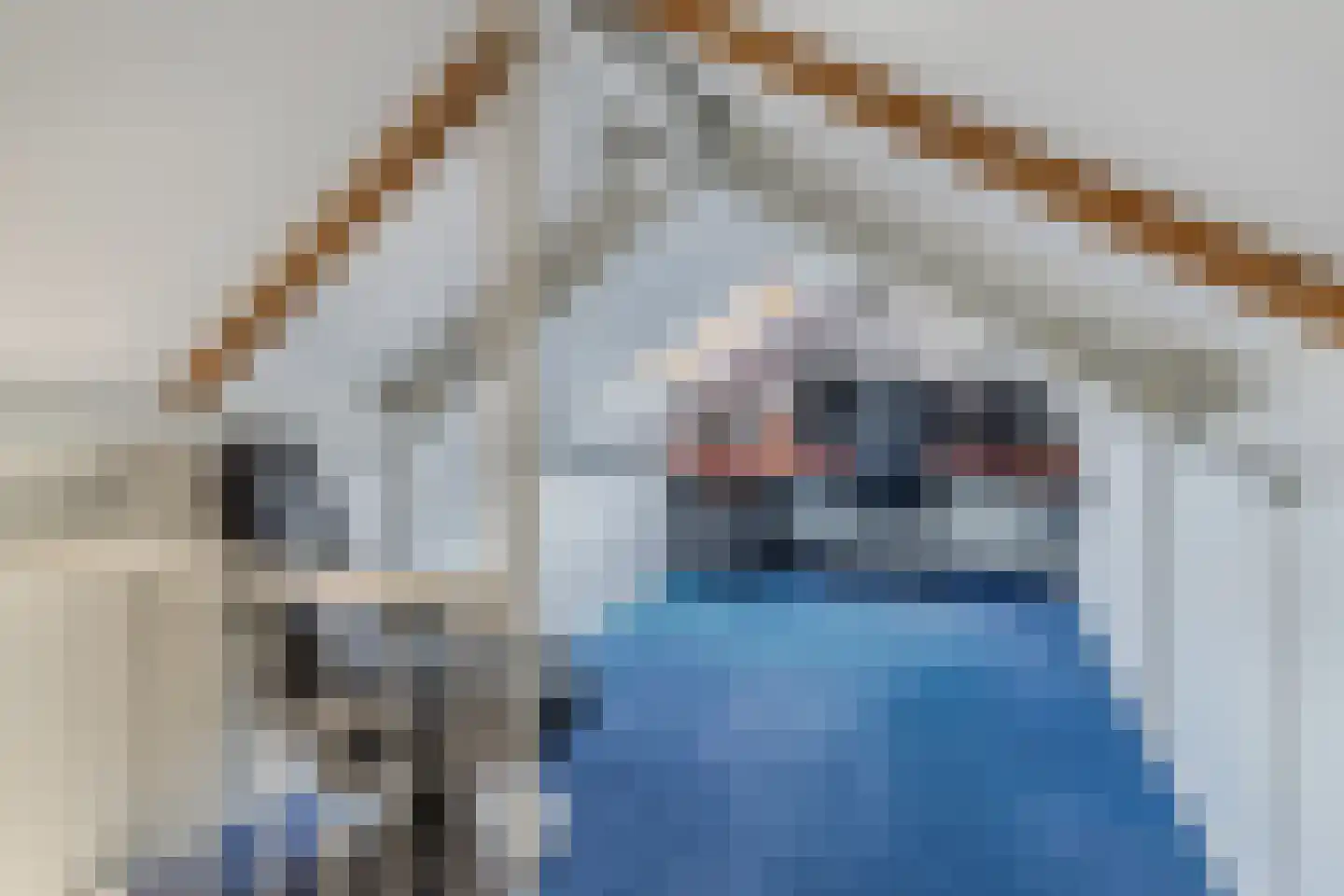 Jancko Douwamastrjitte 35 a Aldeboarn thumbnail 39