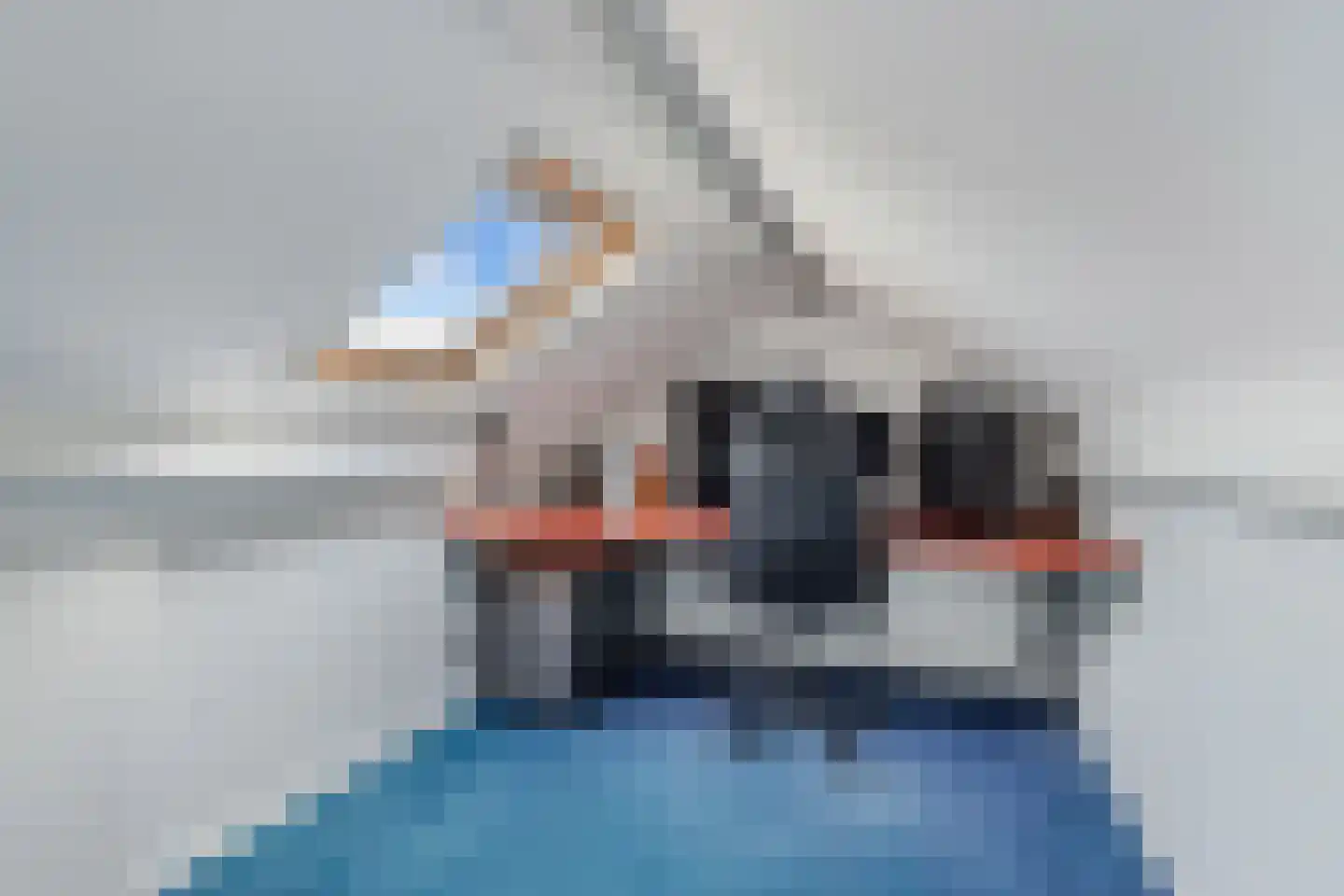Jancko Douwamastrjitte 35 a Aldeboarn thumbnail 40