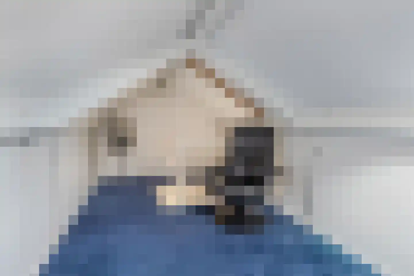 Jancko Douwamastrjitte 35 a Aldeboarn thumbnail 41