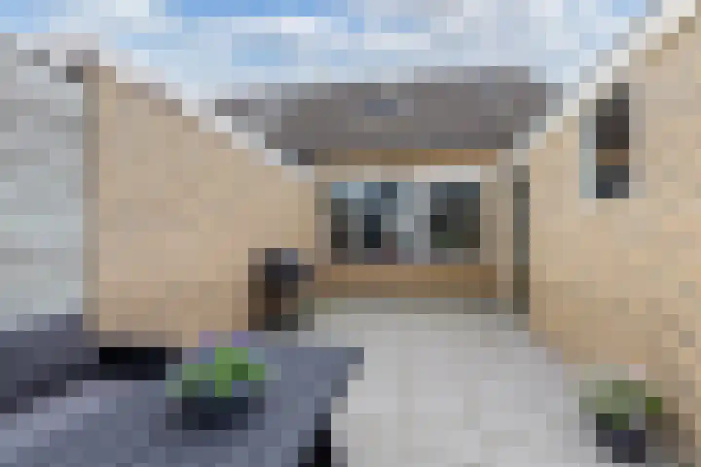 Jancko Douwamastrjitte 35 a Aldeboarn thumbnail 42