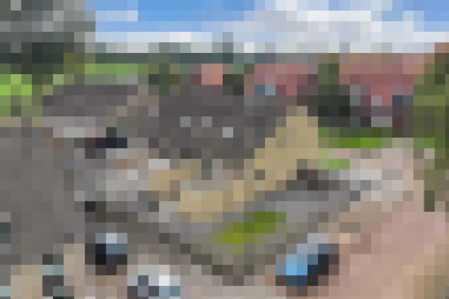 Jancko Douwamastrjitte 35 a Aldeboarn thumbnail 49