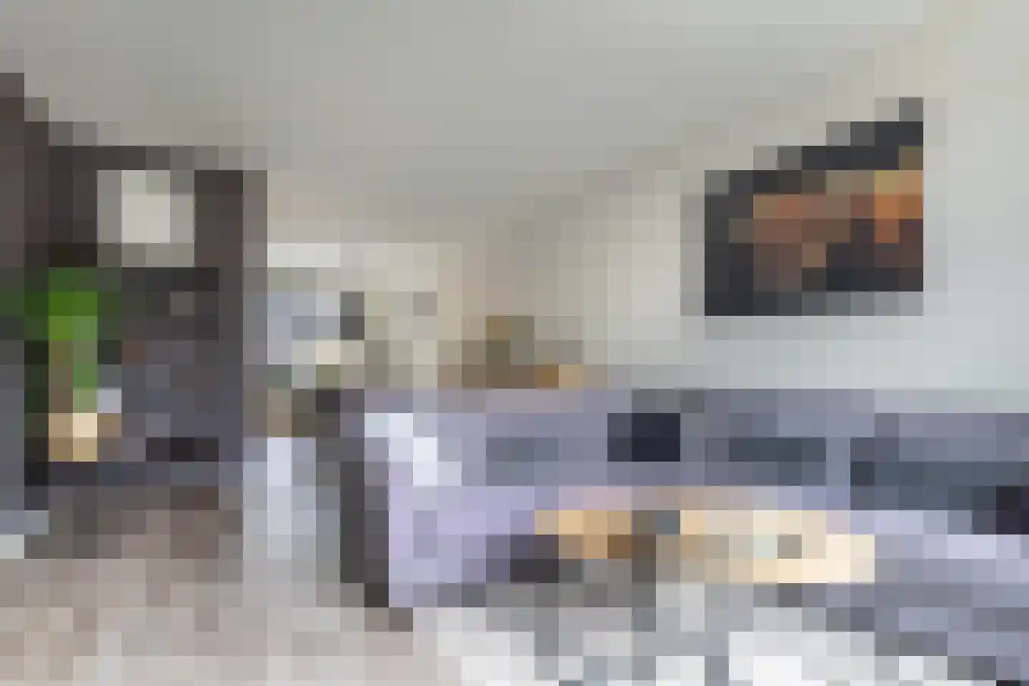 Jancko Douwamastrjitte 35 a Aldeboarn thumbnail 8