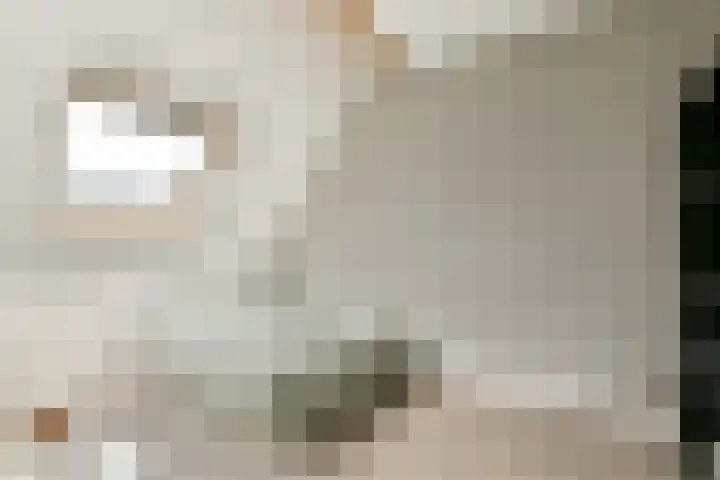 Jane Addamslaan 33 Amstelveen thumbnail 13