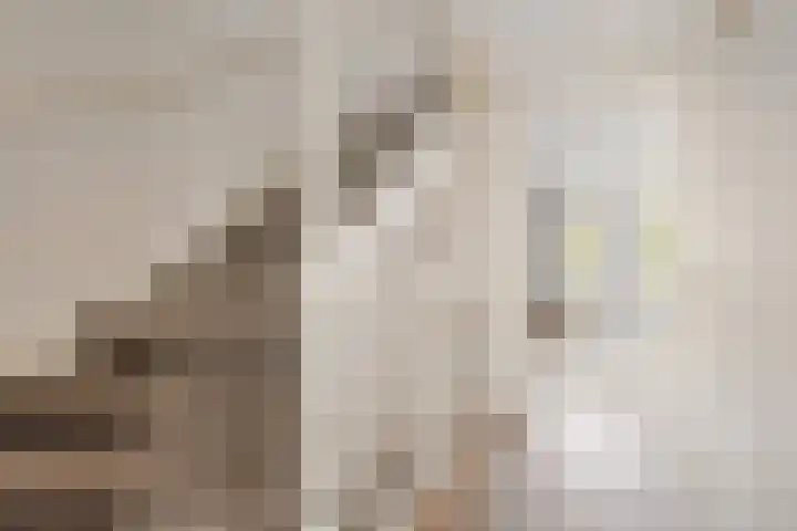 Jane Addamslaan 35 Amstelveen thumbnail 22