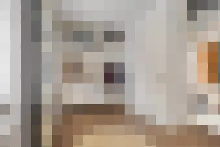 Jane Addamslaan 35 Amstelveen thumbnail 30