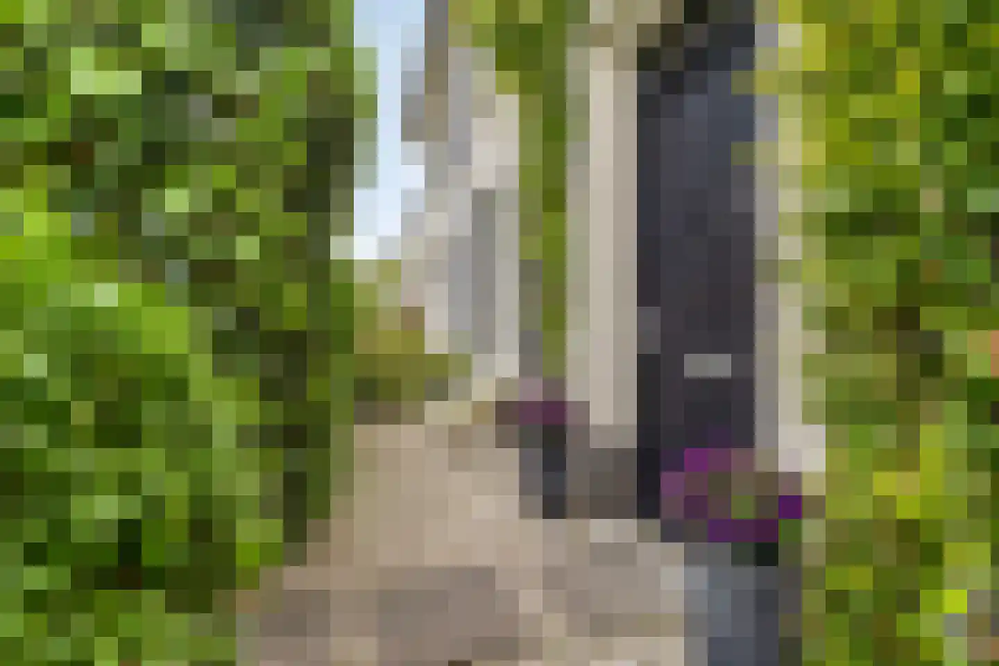 Jane Addamslaan 6 Amstelveen thumbnail 36