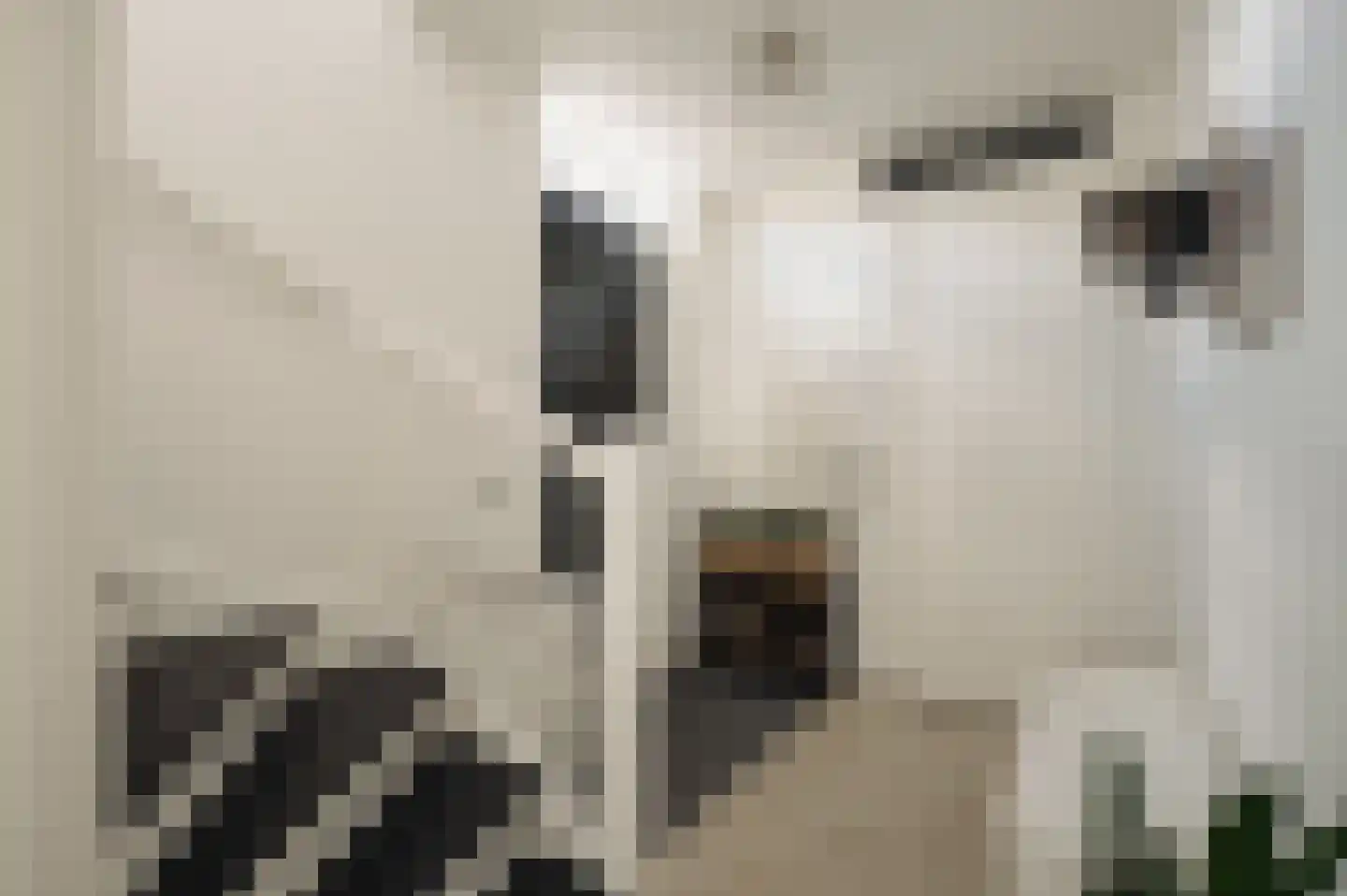 Jane Addamslaan 81 Amstelveen thumbnail 18