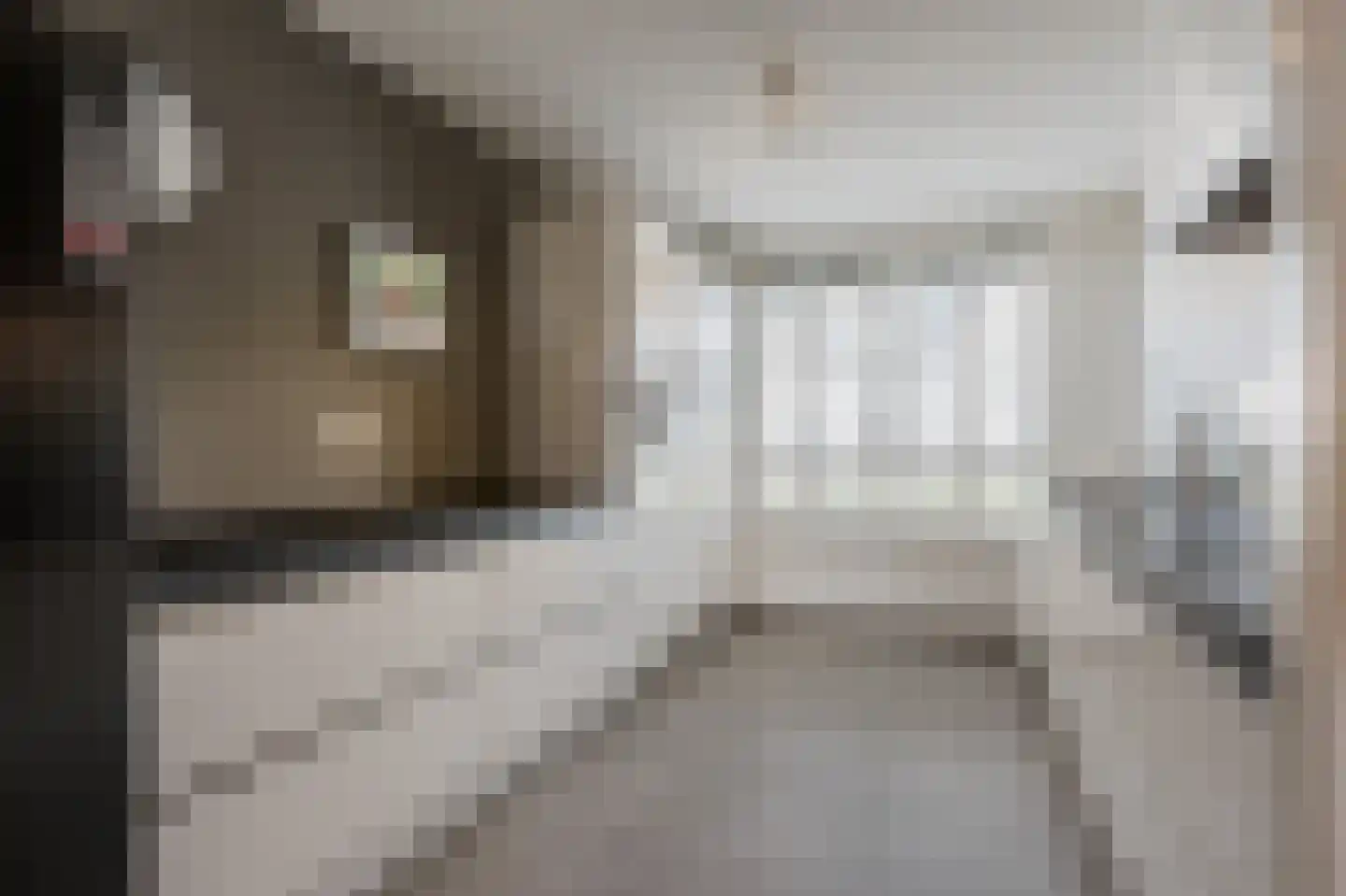 Jane Addamslaan 85 Amstelveen thumbnail 12