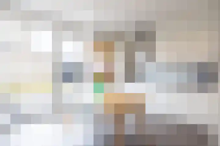 Janekers Vaart 24 Sittard thumbnail 11