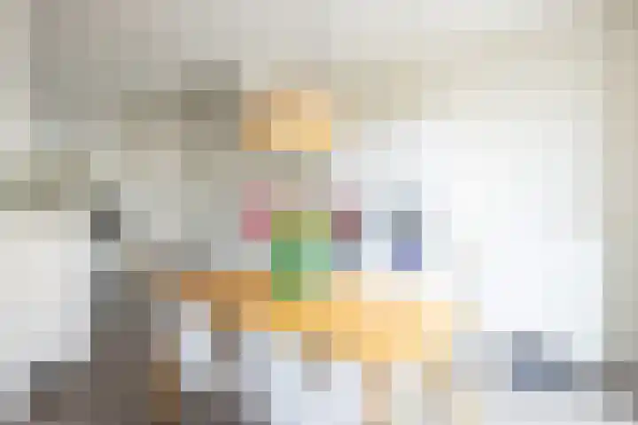Janekers Vaart 24 Sittard thumbnail 14
