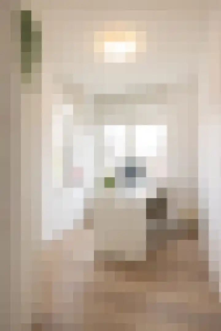 Janekers Vaart 24 Sittard thumbnail 17