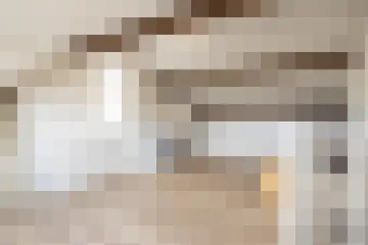 Janekers Vaart 24 Sittard thumbnail 24