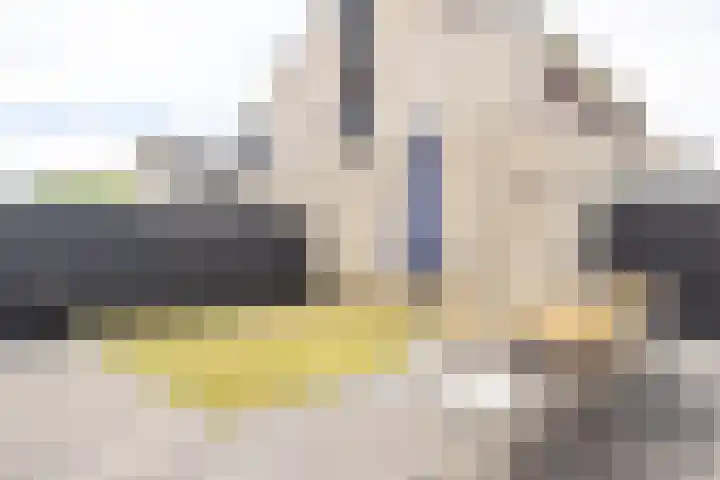 Janekers Vaart 24 Sittard thumbnail 27