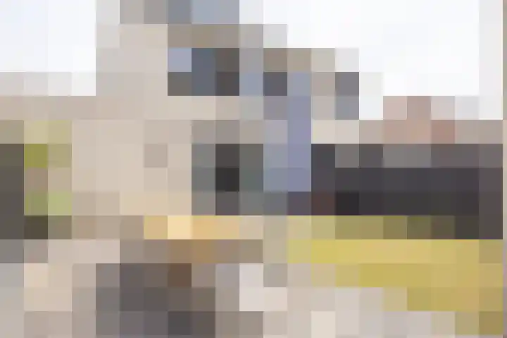 Janekers Vaart 24 Sittard thumbnail 28