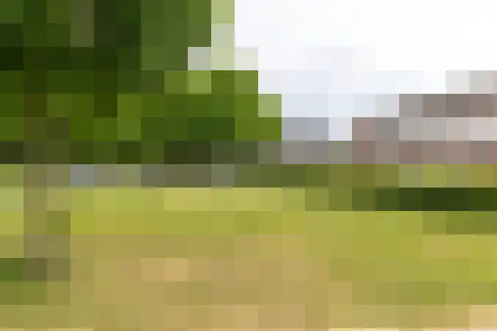 Janekers Vaart 24 Sittard thumbnail 31
