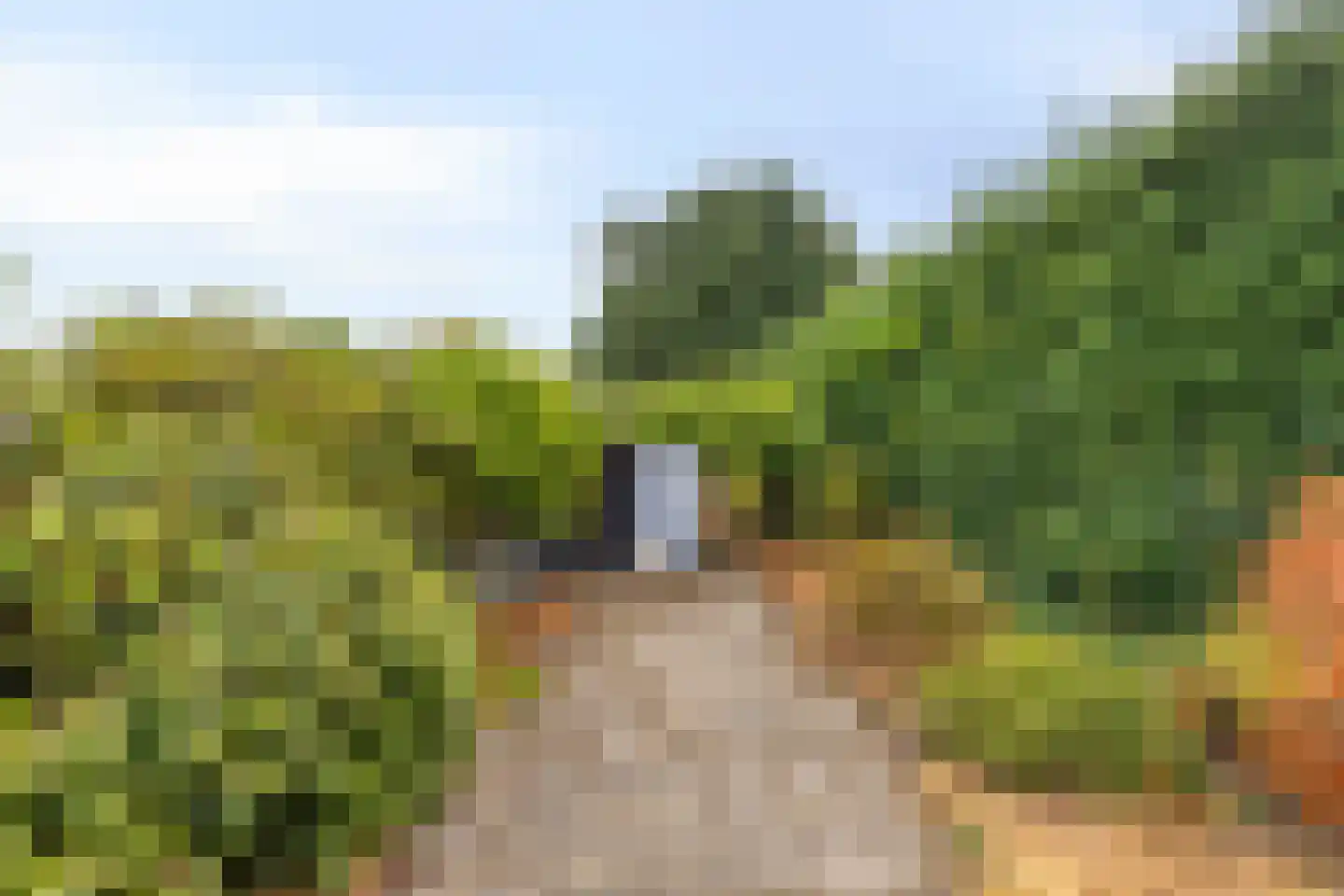 Jankenberg 17 Halsteren thumbnail 26