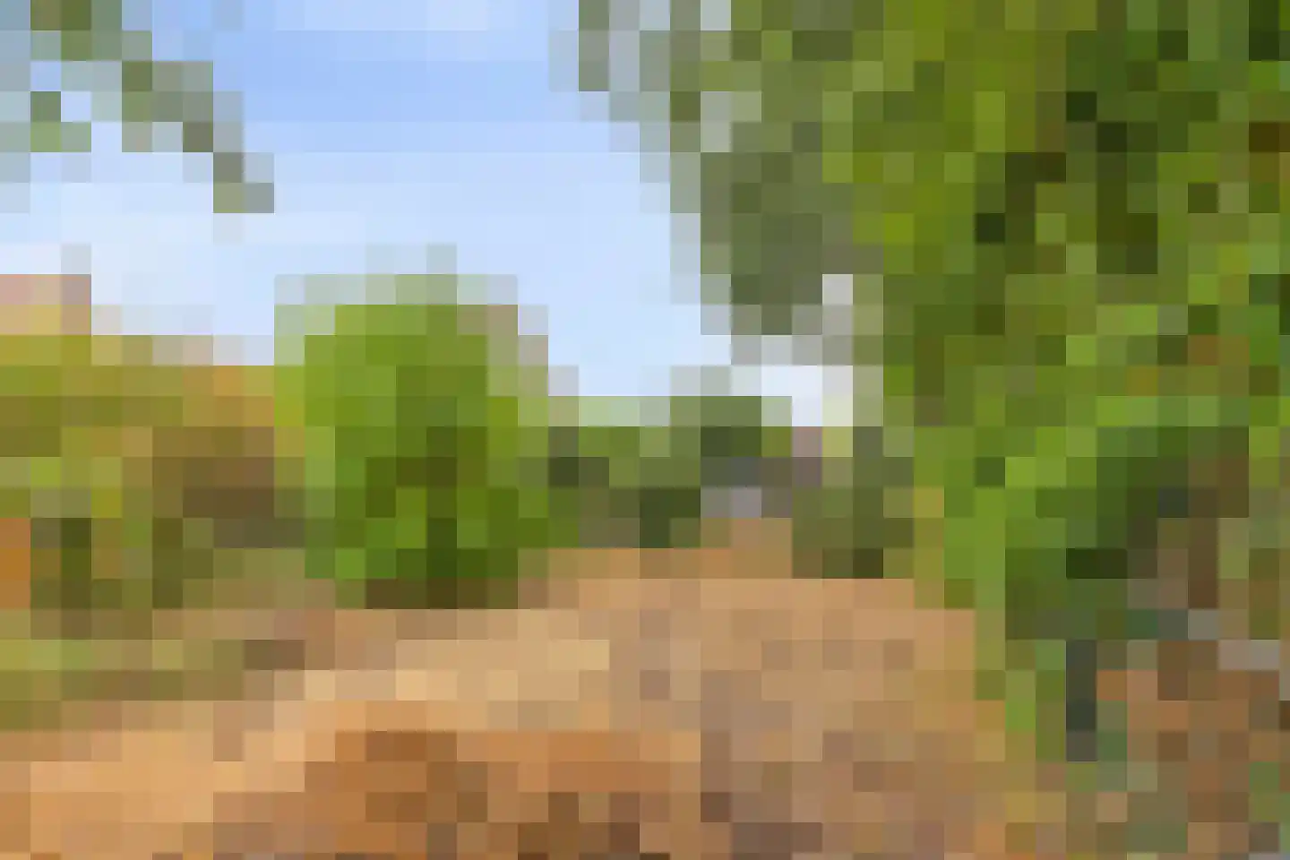 Jankenberg 17 Halsteren thumbnail 28