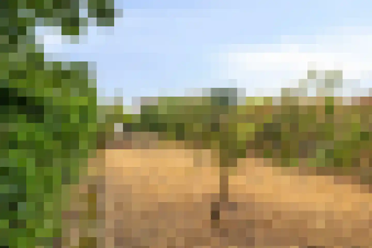 Jankenberg 17 Halsteren thumbnail 29