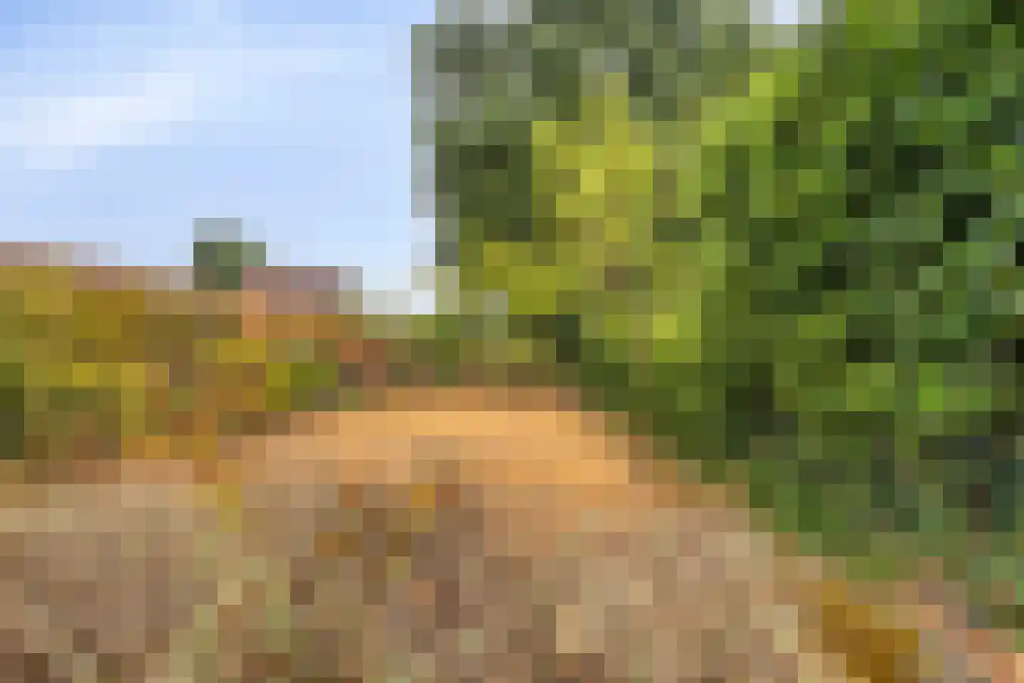 Jankenberg 17 Halsteren thumbnail 8
