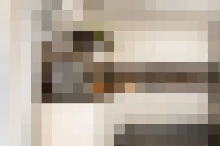 Jankenberg 8 a Halsteren thumbnail 11