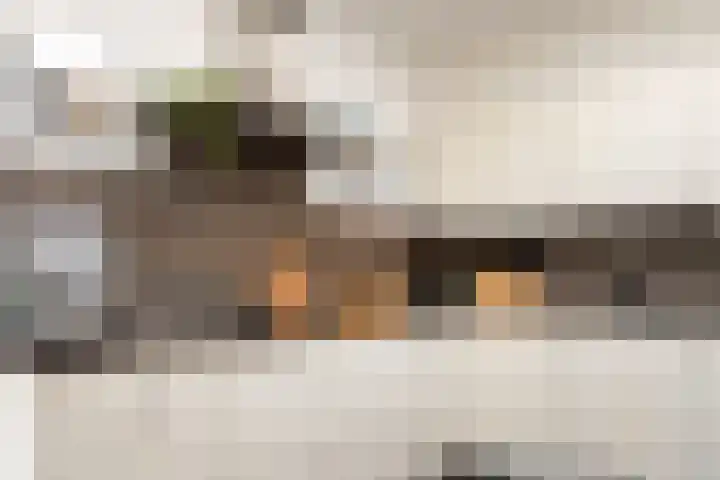Jankenberg 8 a Halsteren thumbnail 12