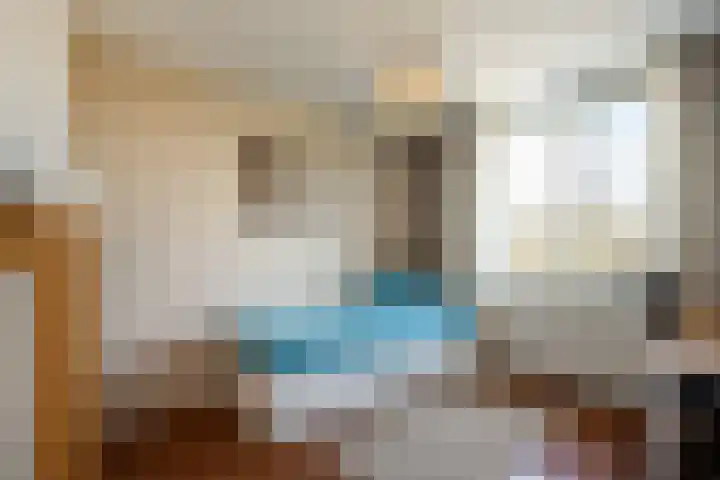 Jankenberg 8 a Halsteren thumbnail 17