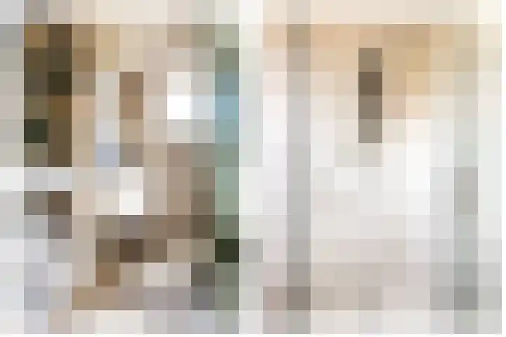Jankenberg 8 a Halsteren thumbnail 20