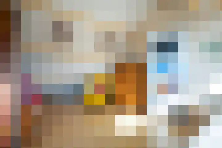 Jankenberg 8 a Halsteren thumbnail 23