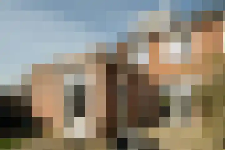 Jankenberg 8 a Halsteren thumbnail 24
