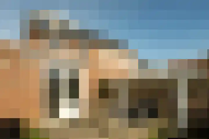 Jankenberg 8 a Halsteren thumbnail 25