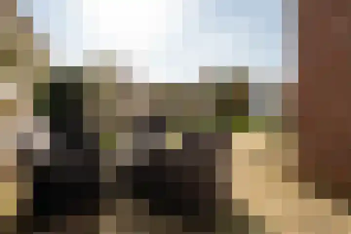 Jankenberg 8 a Halsteren thumbnail 29