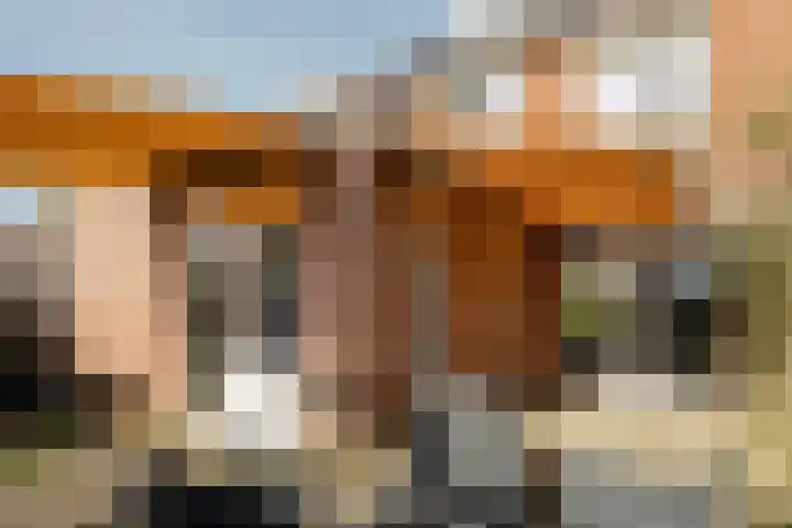 Jankenberg 8 a Halsteren thumbnail 30