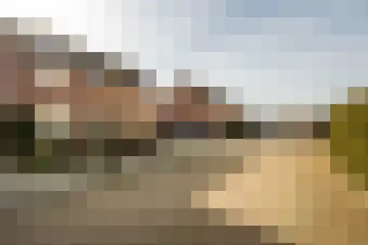 Jankenberg 8 a Halsteren thumbnail 32