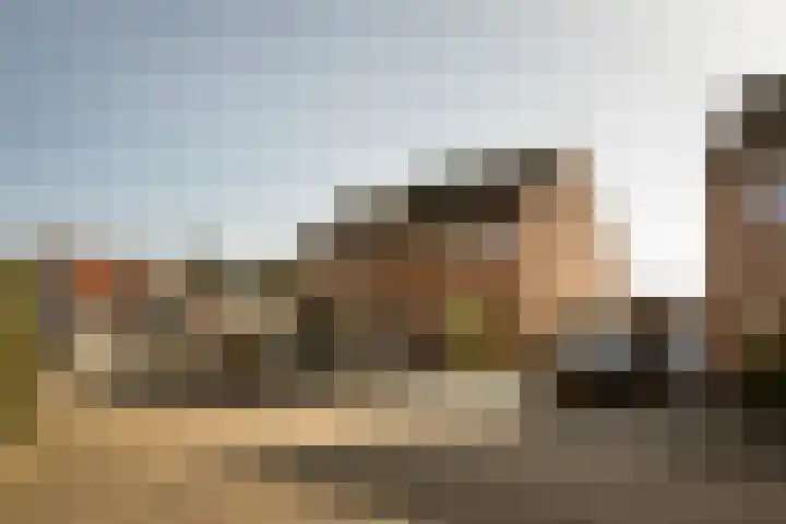 Jankenberg 8 a Halsteren thumbnail 34