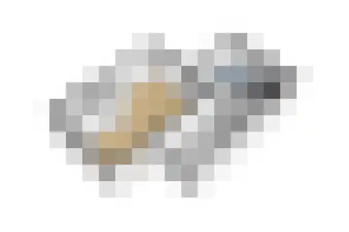 Jankenberg 8 a Halsteren thumbnail 35