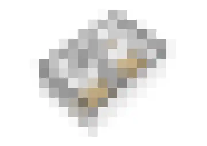 Jankenberg 8 a Halsteren thumbnail 36