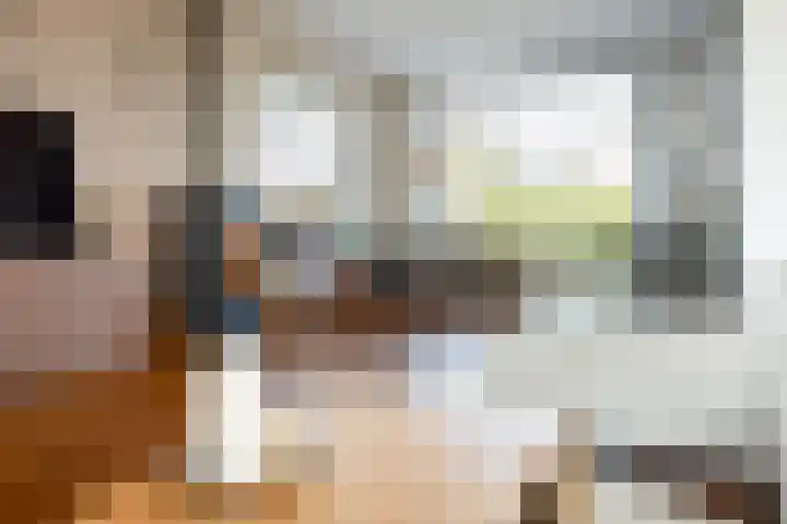 Jankenberg 8 a Halsteren thumbnail 5