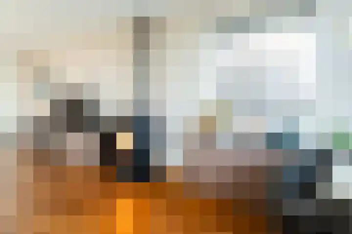 Jankenberg 8 a Halsteren thumbnail 7