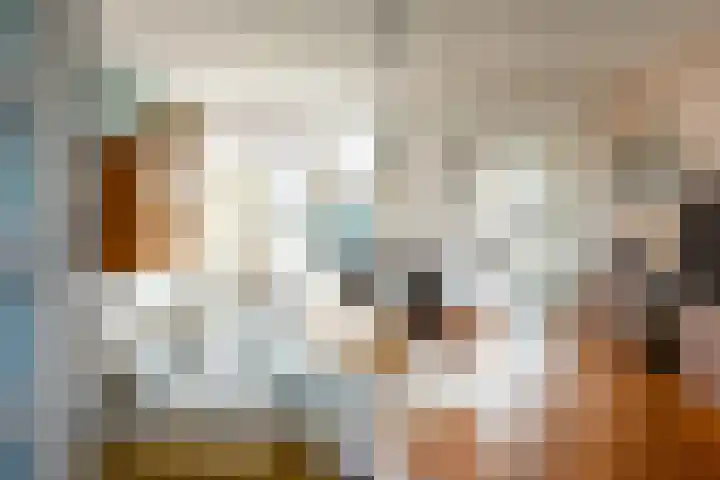 Jankenberg 8 a Halsteren thumbnail 8