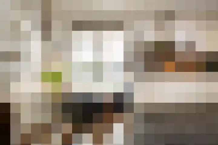 Jankenberg 8 a Halsteren thumbnail 9