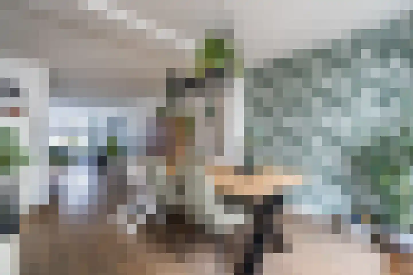 Jankushofstraat 15 Weert thumbnail 12