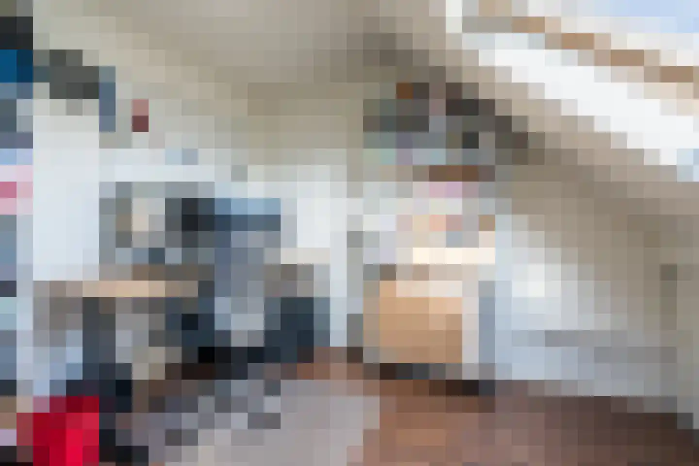Jankushofstraat 15 Weert thumbnail 37