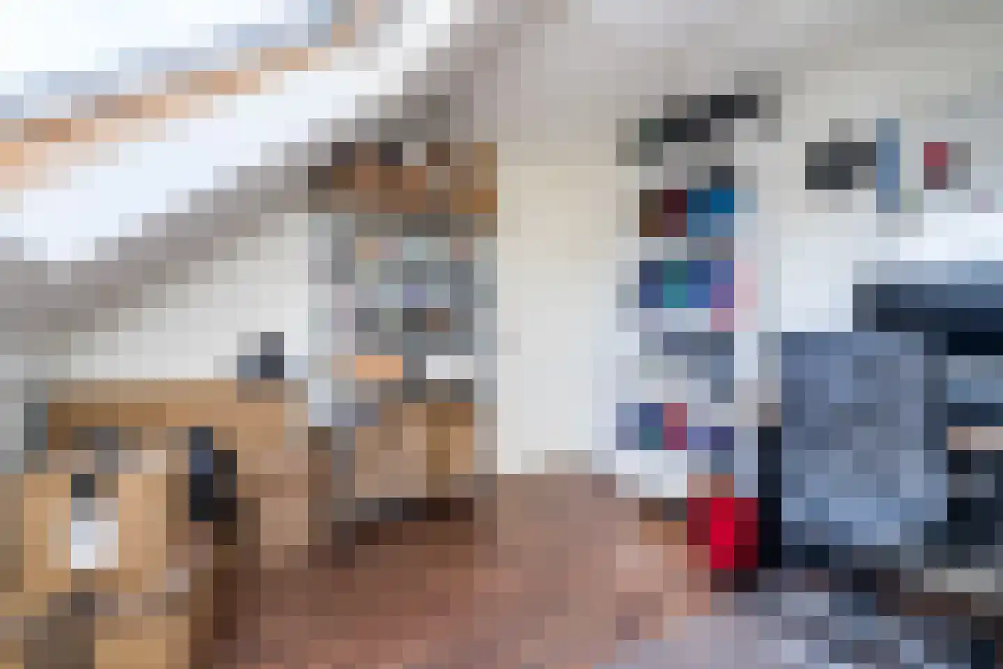 Jankushofstraat 15 Weert thumbnail 38