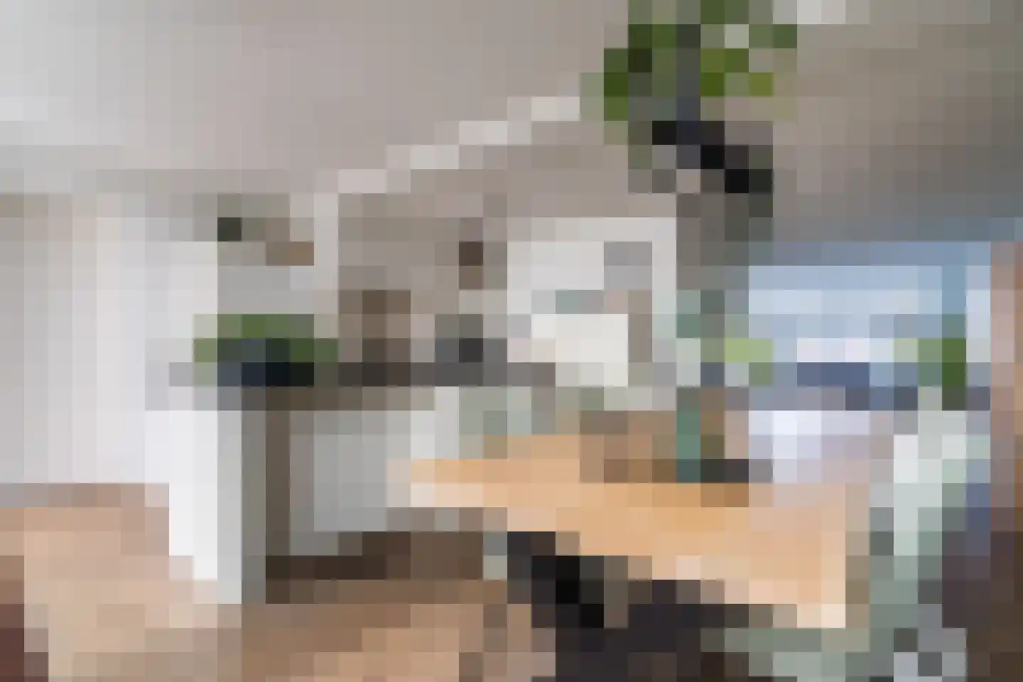 Jankushofstraat 15 Weert thumbnail 4