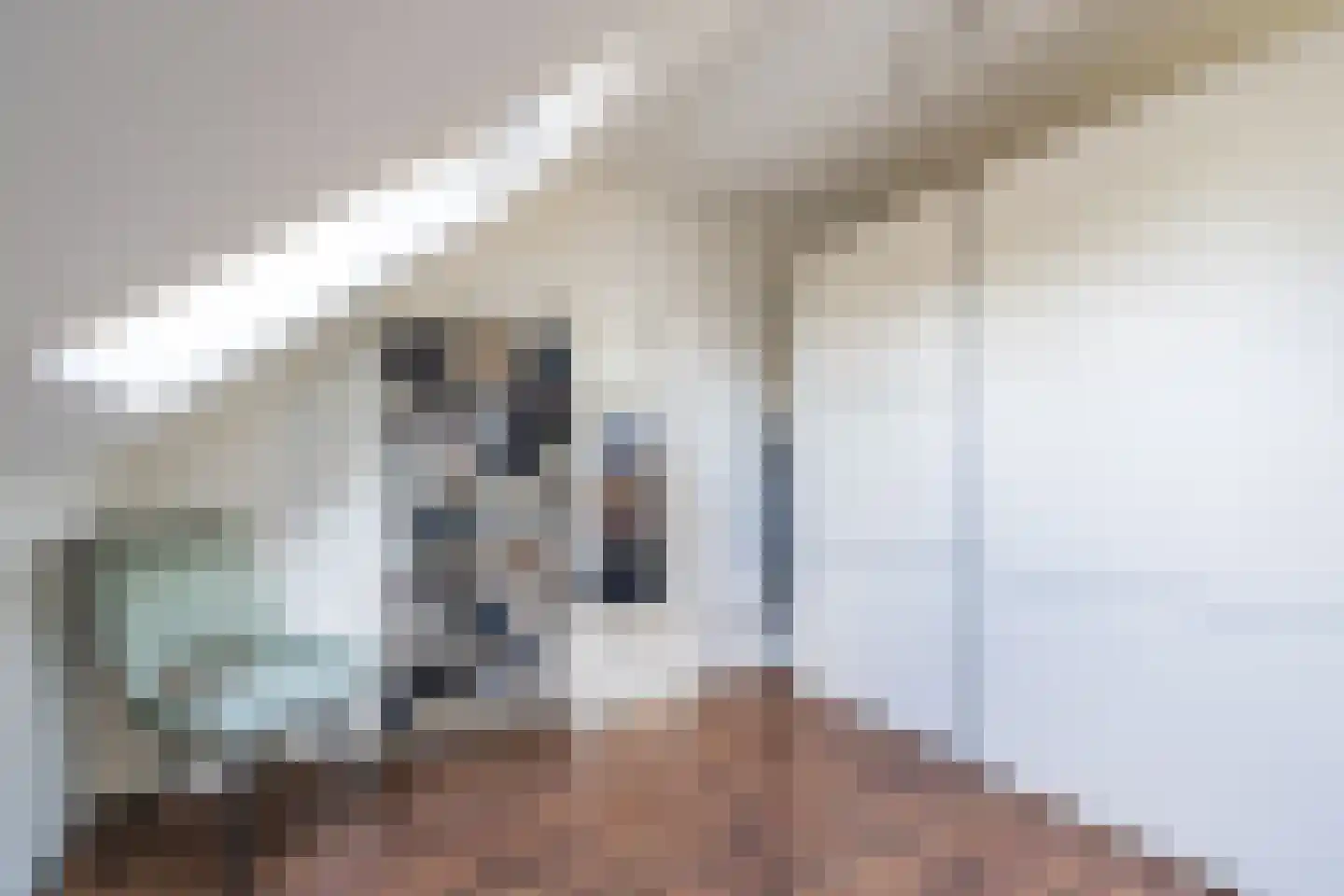 Jankushofstraat 15 Weert thumbnail 43