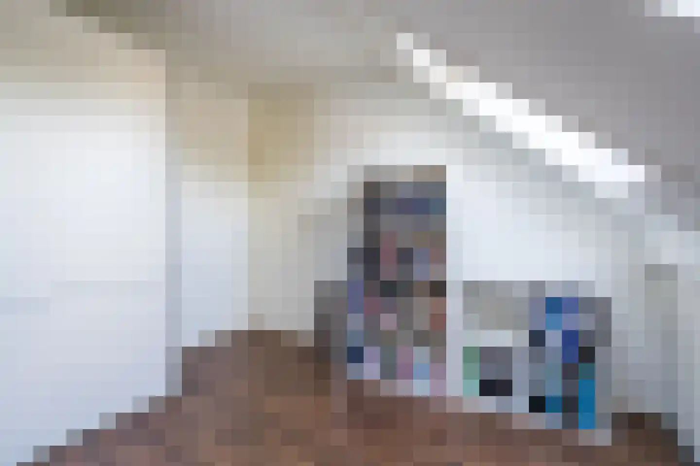 Jankushofstraat 15 Weert thumbnail 44