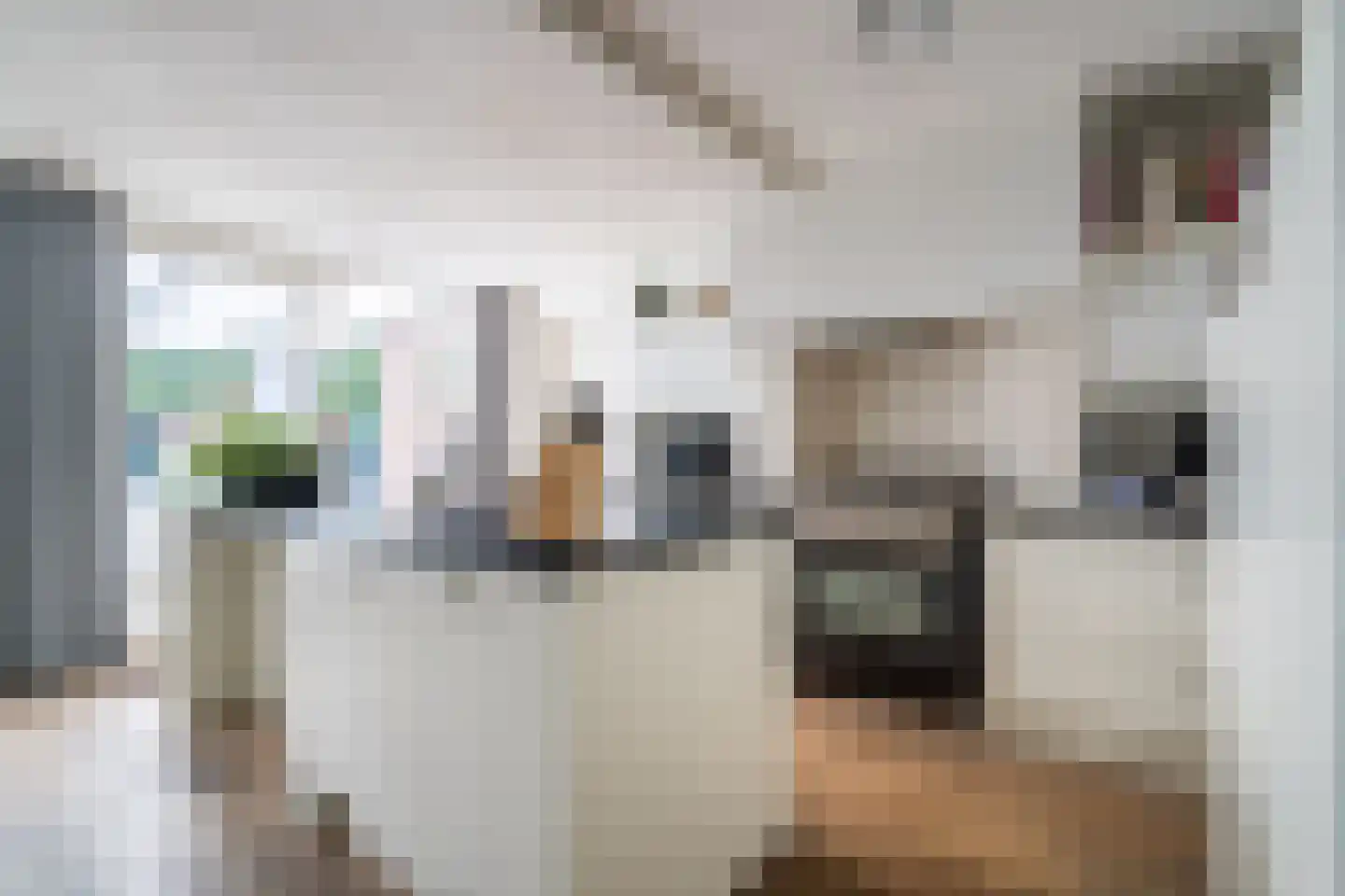 Jankushofstraat 15 Weert thumbnail 9