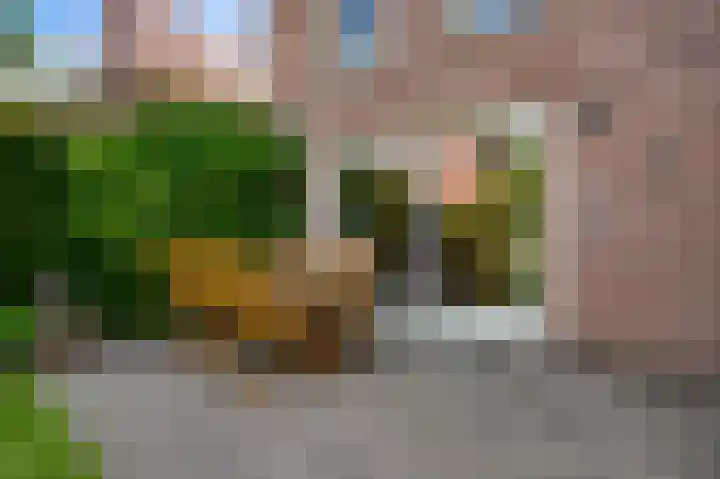 Jankushofstraat 16 Weert thumbnail 27